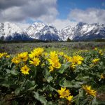 Grand Teton National Park, WY