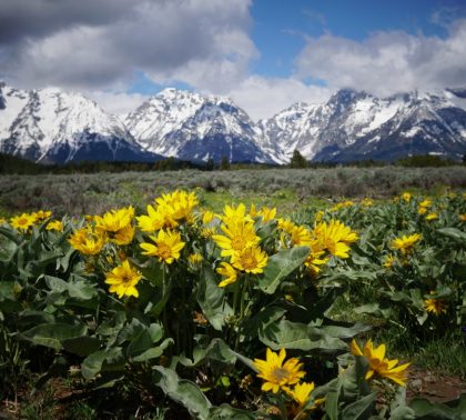 Grand Teton National Park, WY