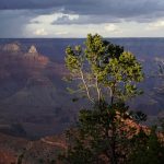 Grand Canyon National Park, AZ