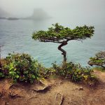 Cape Flattery, WA