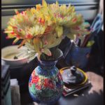 Pink-tipped Chrysanthemums