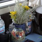Fragrant Roadside Wildflowers