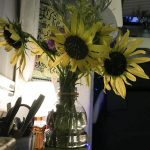 Rachel picked roadside heliopsis (wild sunflowers)