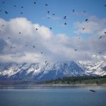 Jackson Lake in Grand Teton National Park