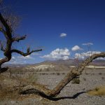 Furnace Creek Visitor Center, Death Valley National Park, CA