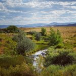 Colorado Backroad