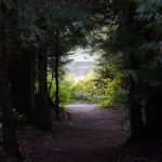 Peek of Trillium Lake, OR
