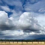Southern Washington from the rear RV window
