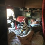Nap time for Rachel with the dogs in the back of Matilda