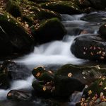 Waterfall near Cosby campground
